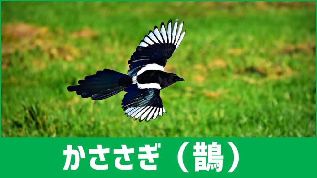 英語で百人一首 第六首 かささぎの 中納言家持 あそびdeまなぶ