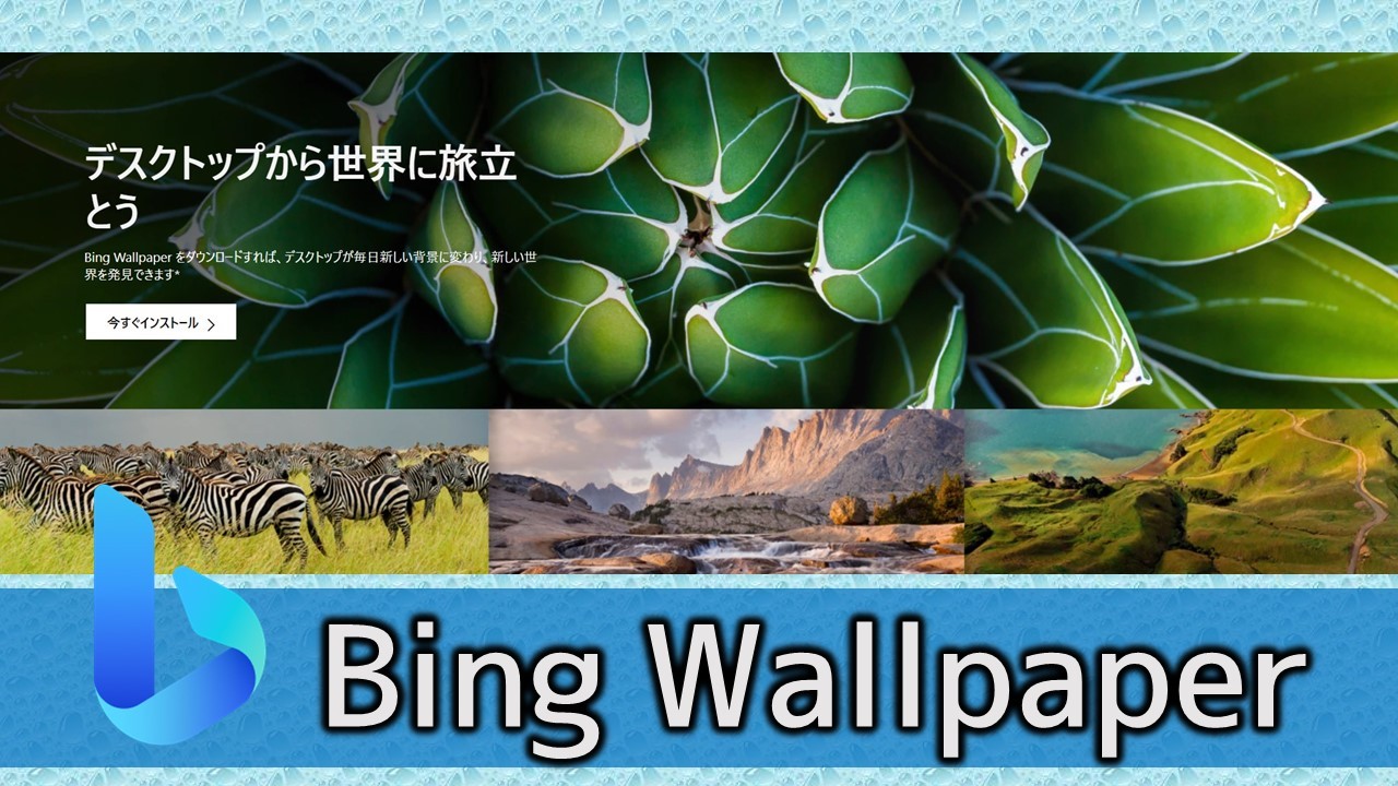 Bing Wallpaperの楽しみ方・活用術【美しい画像を日替わりで】 | あそびdeまなぶ